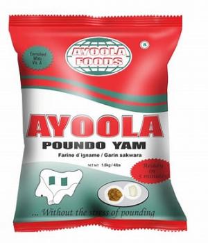 website template image