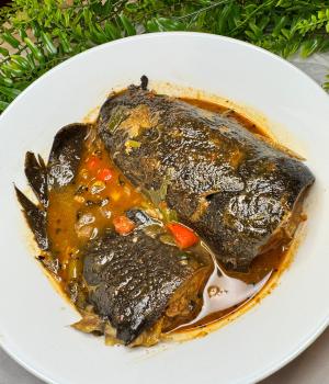 website template image