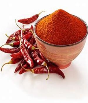 website template image