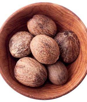 website template image