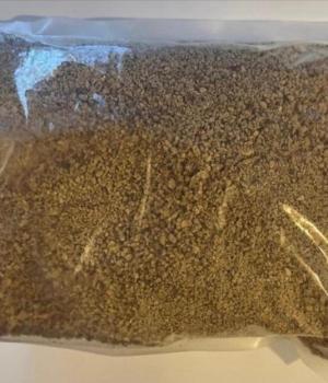 website template image